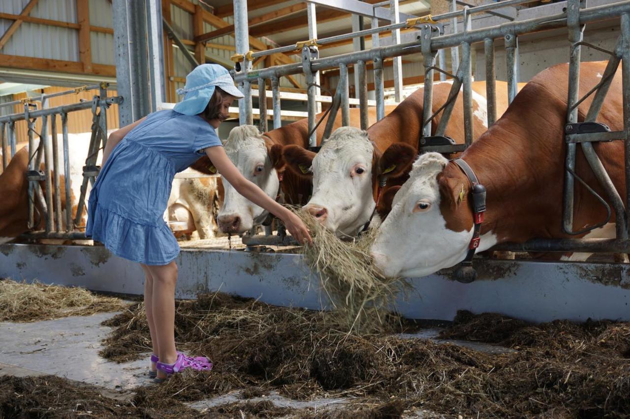 Kinderbauernhof Salmanner Steinbach an der Steyr Exteriér fotografie