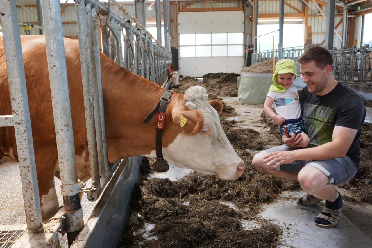 Kinderbauernhof Salmanner Steinbach an der Steyr Exteriér fotografie