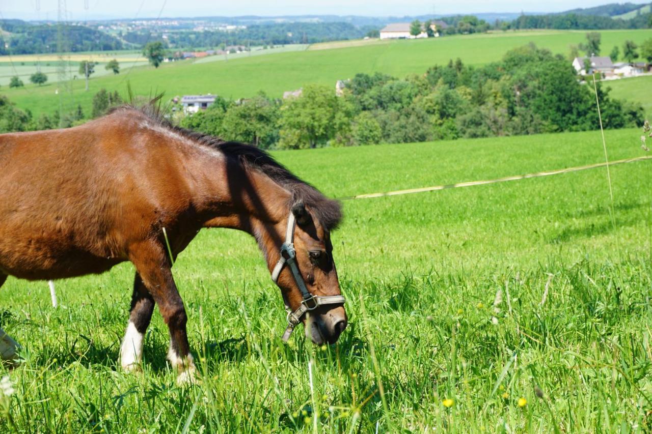 Kinderbauernhof Salmanner Steinbach an der Steyr Exteriér fotografie