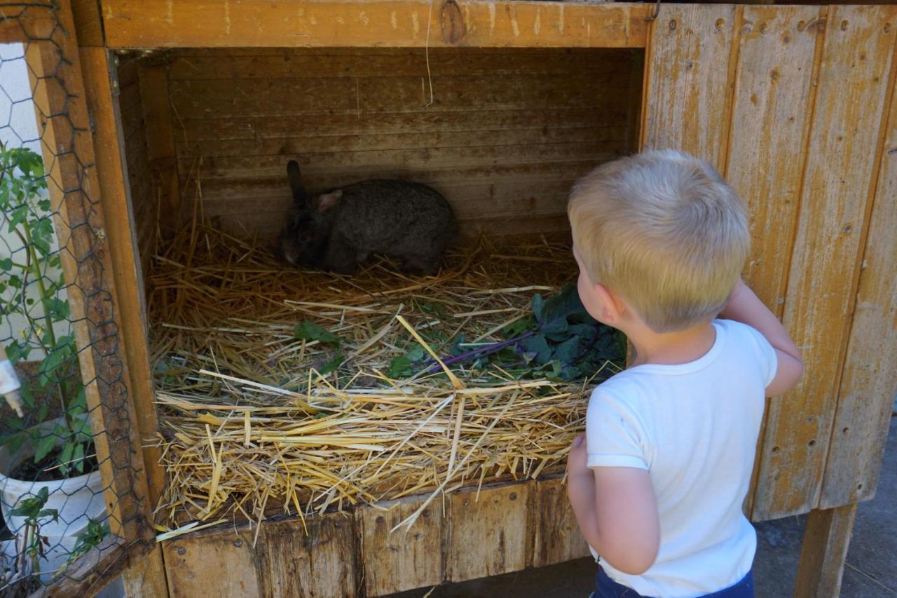 Kinderbauernhof Salmanner Steinbach an der Steyr Exteriér fotografie