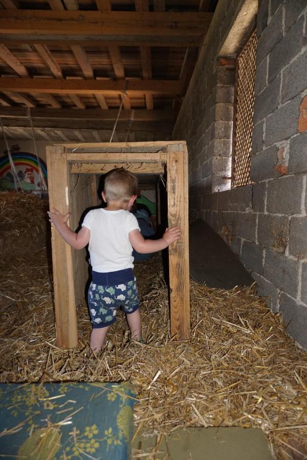 Kinderbauernhof Salmanner Steinbach an der Steyr Exteriér fotografie