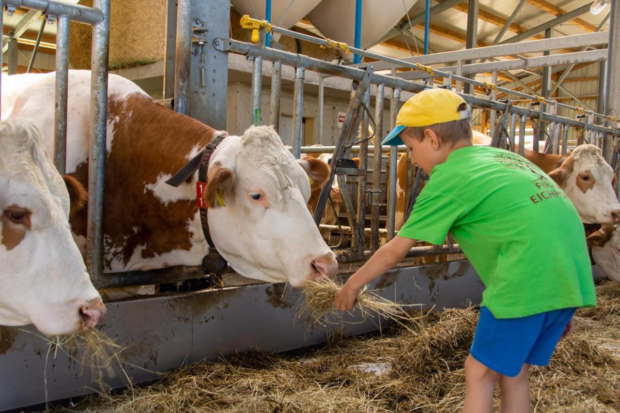 Kinderbauernhof Salmanner Steinbach an der Steyr Exteriér fotografie