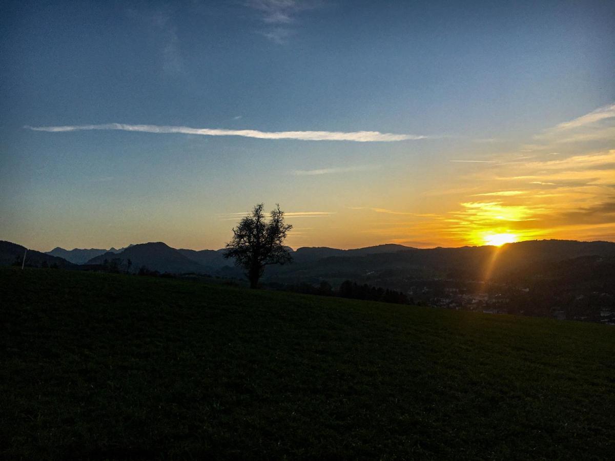 Kinderbauernhof Salmanner Steinbach an der Steyr Exteriér fotografie