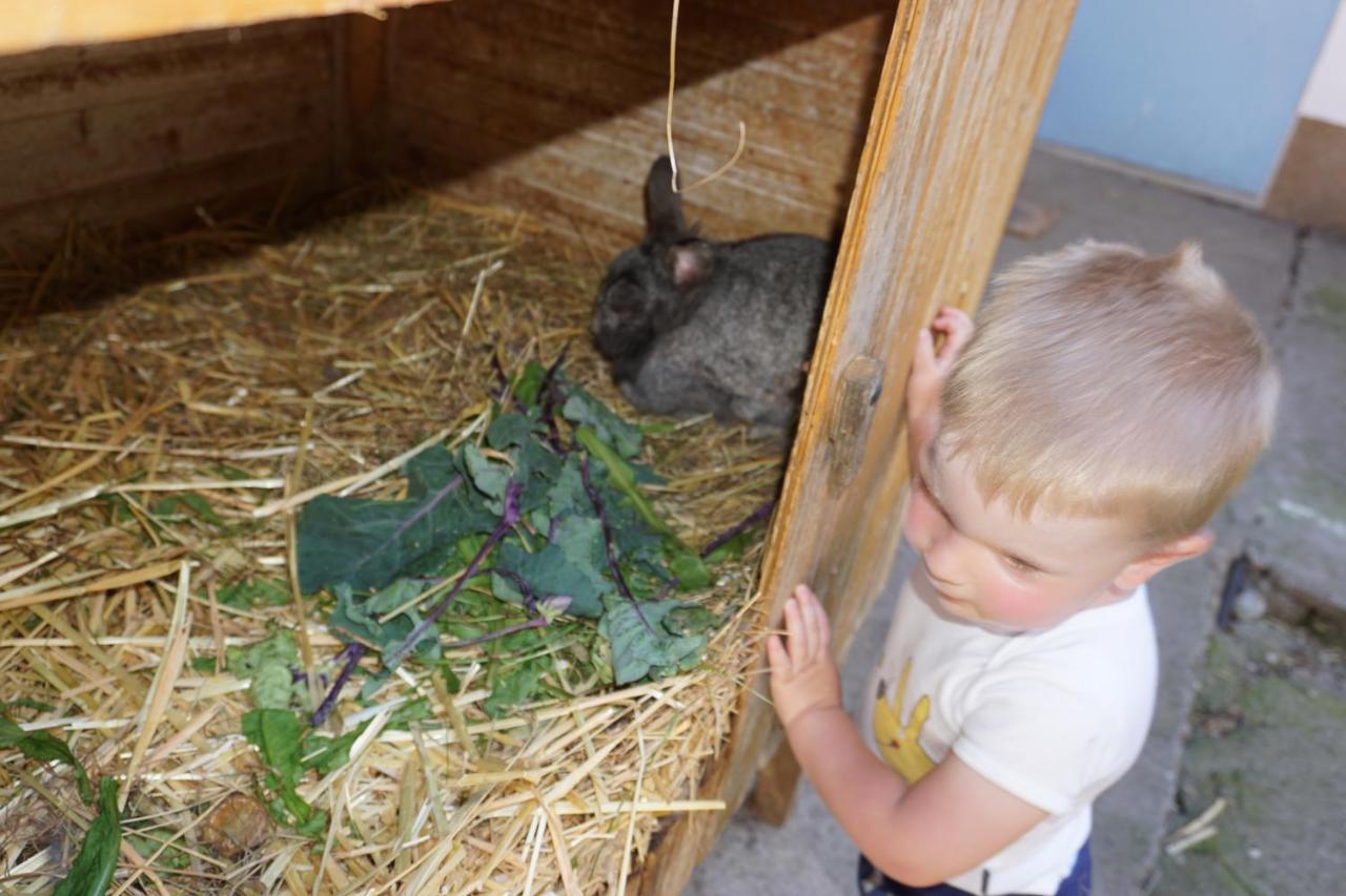 Kinderbauernhof Salmanner Steinbach an der Steyr Exteriér fotografie