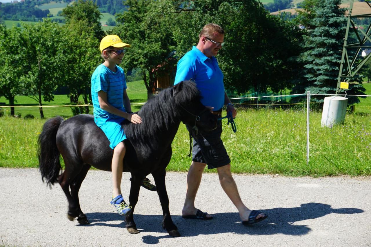 Kinderbauernhof Salmanner Steinbach an der Steyr Exteriér fotografie