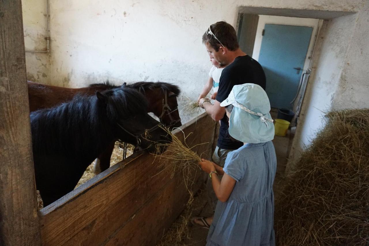 Kinderbauernhof Salmanner Steinbach an der Steyr Exteriér fotografie