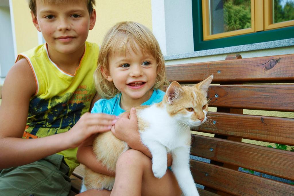 Kinderbauernhof Salmanner Steinbach an der Steyr Exteriér fotografie
