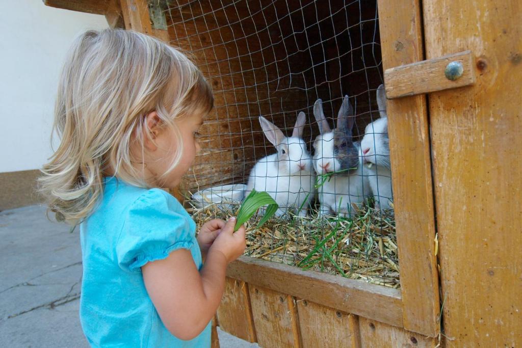 Kinderbauernhof Salmanner Steinbach an der Steyr Exteriér fotografie
